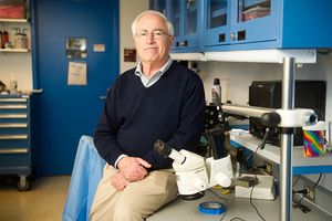 Howard Eichenbaum, William Fairfield Warren Distinguished Professor, director of Boston University Center for Memory and Brain