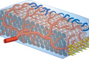 Illustration of cardiac patch