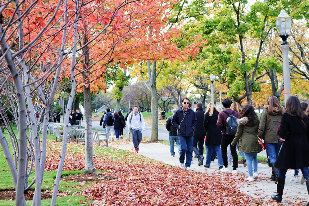 Autumn on BU Campus