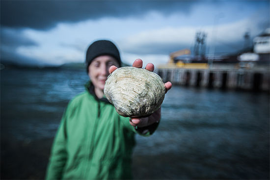 Professor of Archaeology Catherine West holds a clamshell in Dutch Harbor middens where she studies ancient climate change adaptation in the Aleutian Islands.