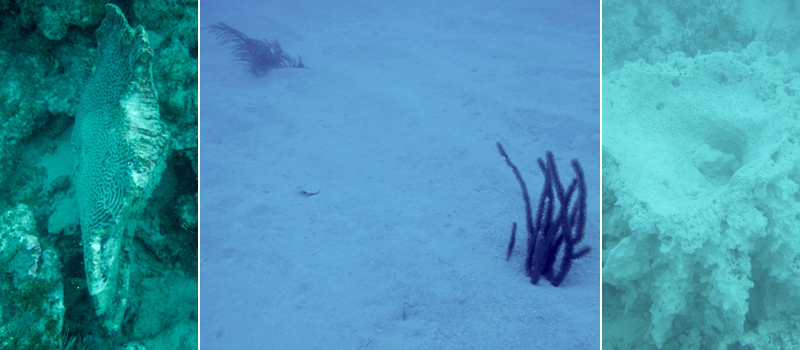 More damage under the sea.
