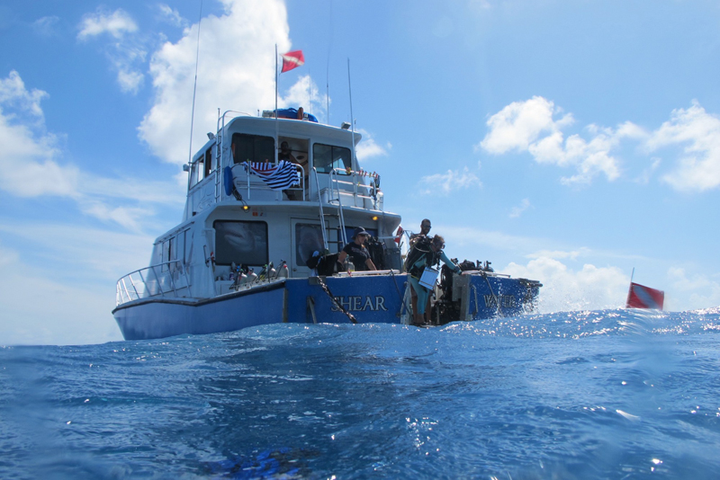 The live-aboard M/V Shear Water allowed the team to stay at sea during the rapid assessment.