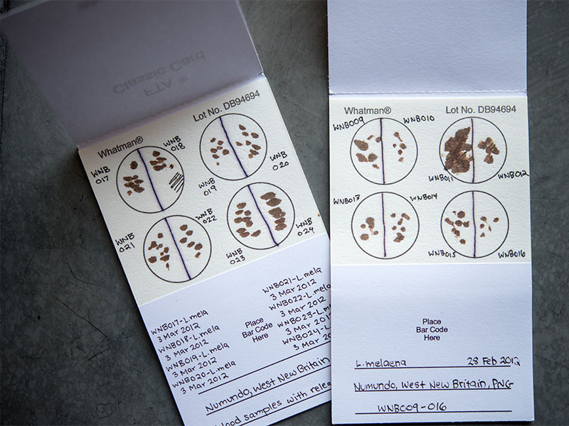Notes about biological samples taken from Finch species in New Guinea including blood, feather, tissue samples, and genome sequencing