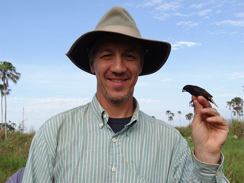 Michael Sorenson, professor of biology at Boston University, holds a Finch in New Guinea