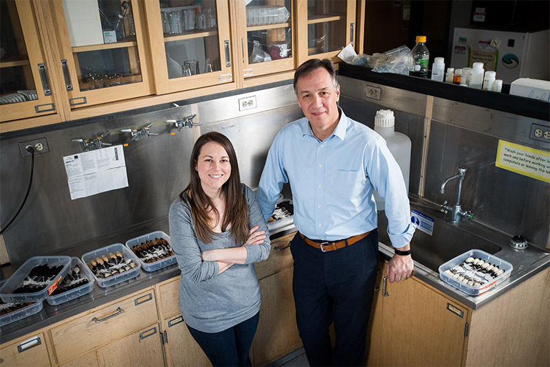Michael Sorenson, professor of biology, and graduate student Katie Stryjewski in their lab at Boston University where they study types of Finches from New Guinea
