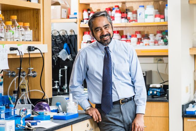 Portrait of Muhammad Zaman, Boston University professor of engineering