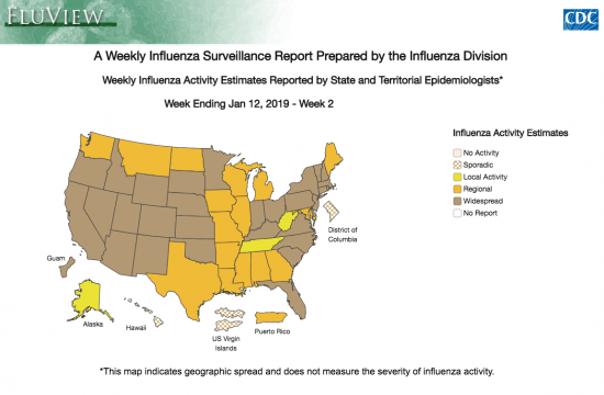 a map from the CDC showing flu outbreaks