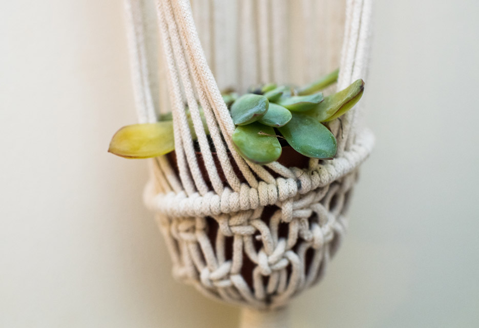 An air plant hangs in Natalie's room.