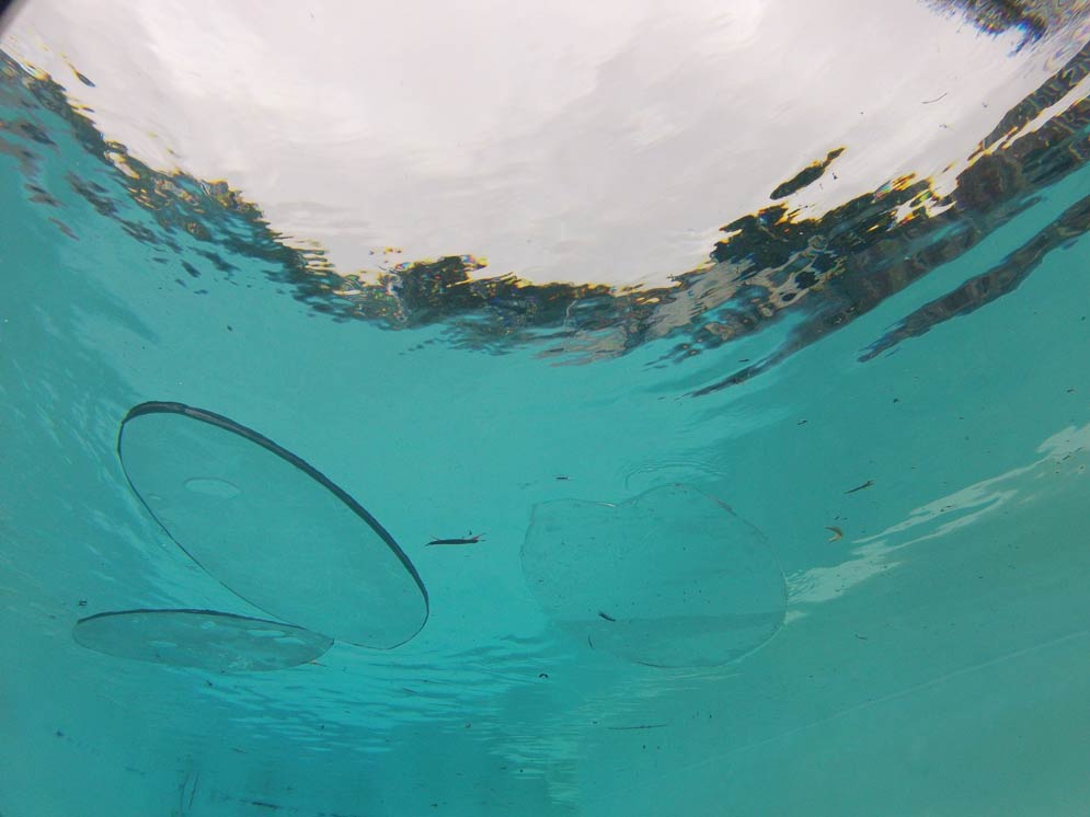 Surfboards with Sharkview camouflage inlays reflect the ocean water they’re floating in. Photo courtesy of Sharkview