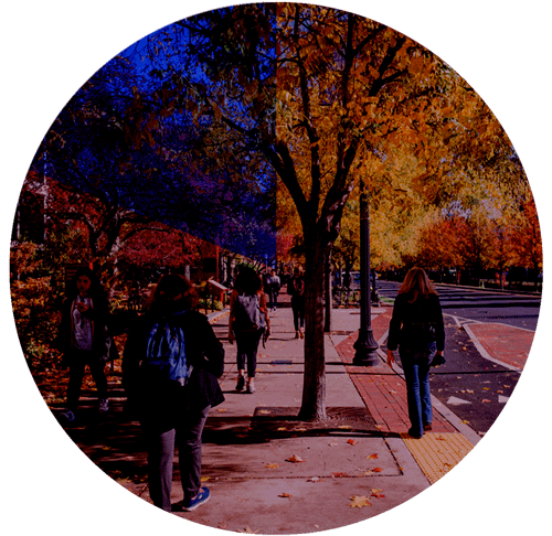 18.9% depicted on a pie chart with a background photo of students walking along Commonwealth Avenue.