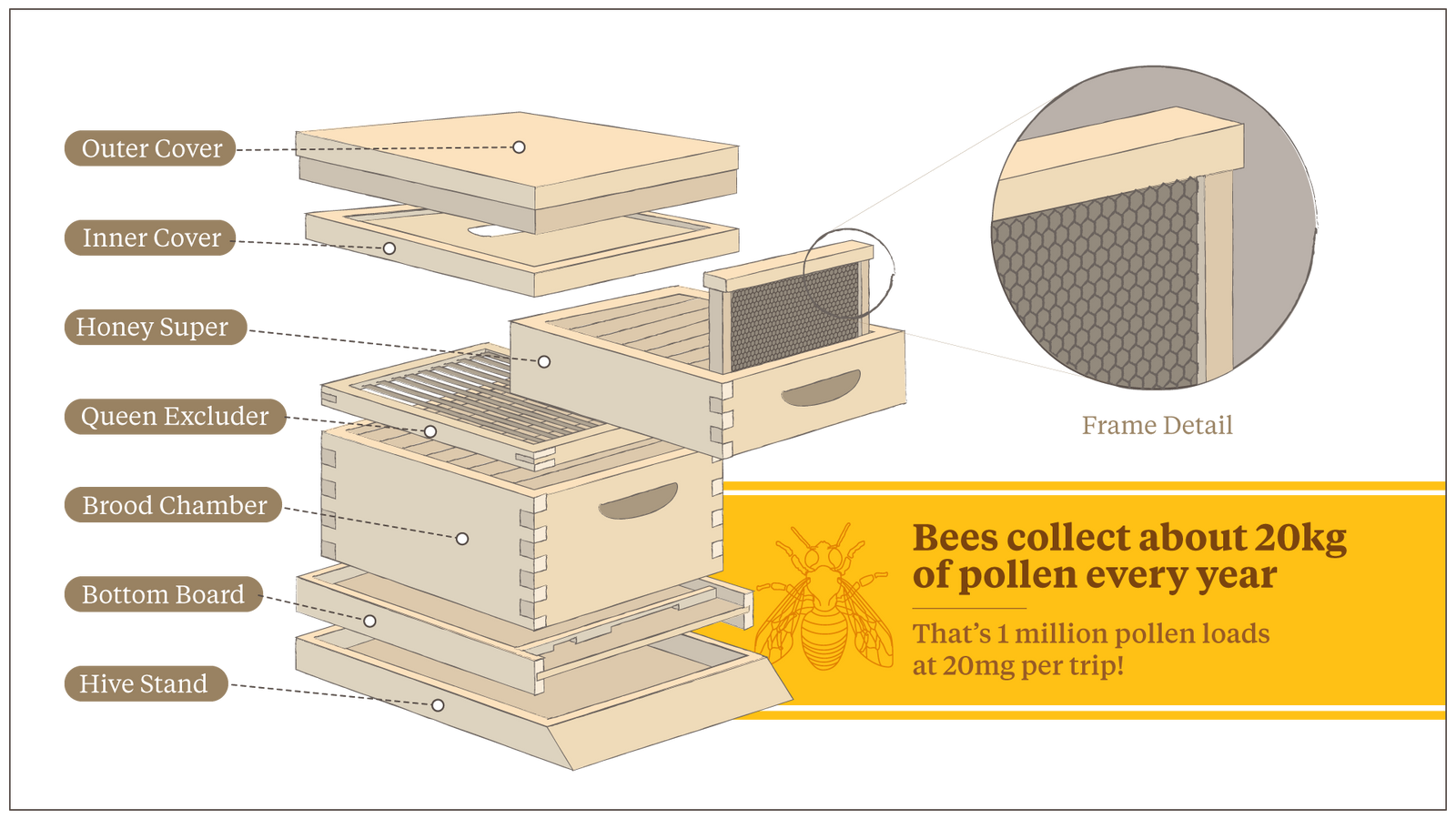 Urban Beekeeping on the Charles: Students Swarm to BU Beekeeping Club ...