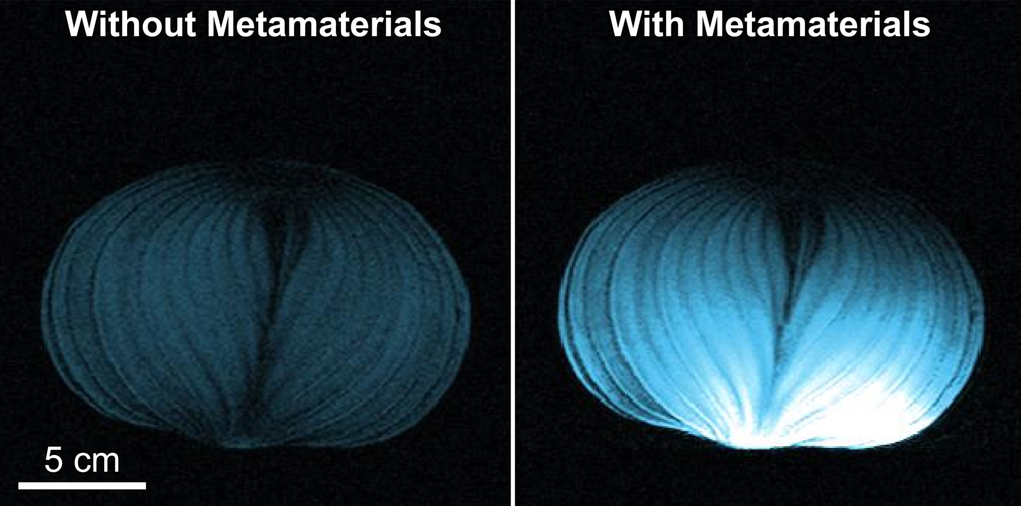 Composite image showing MRI scans of an onion, comparing a standard MRI scan quality to quality of an MRI scan using the newly developed intelligent metamaterial. Text embedded of the standard MRI scan says 'Without Metamaterials' and text above the enhanced MRI scan says 'With Metamaterials.' 