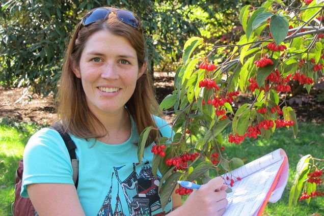 Ecological researcher Amanda Gallinat takes notes about tree fruit.