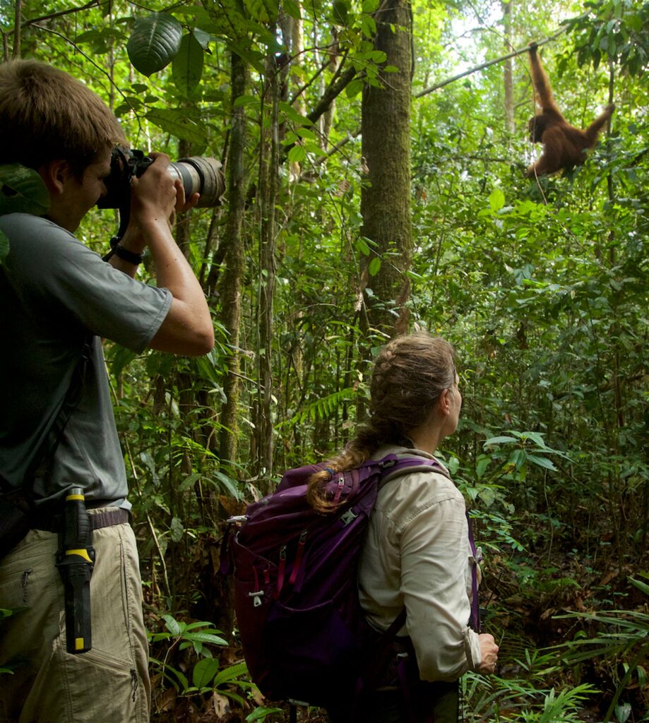 A photo of Cheryl Knott and her family taking photos of orangutans in the jungle.