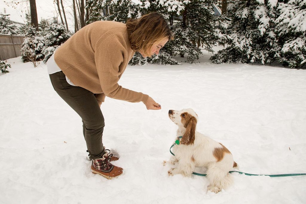 Neus Codina feeds a snack to her dog Cooper while playing in the snow.