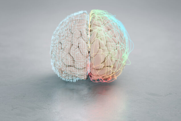 A rendering of a brain
