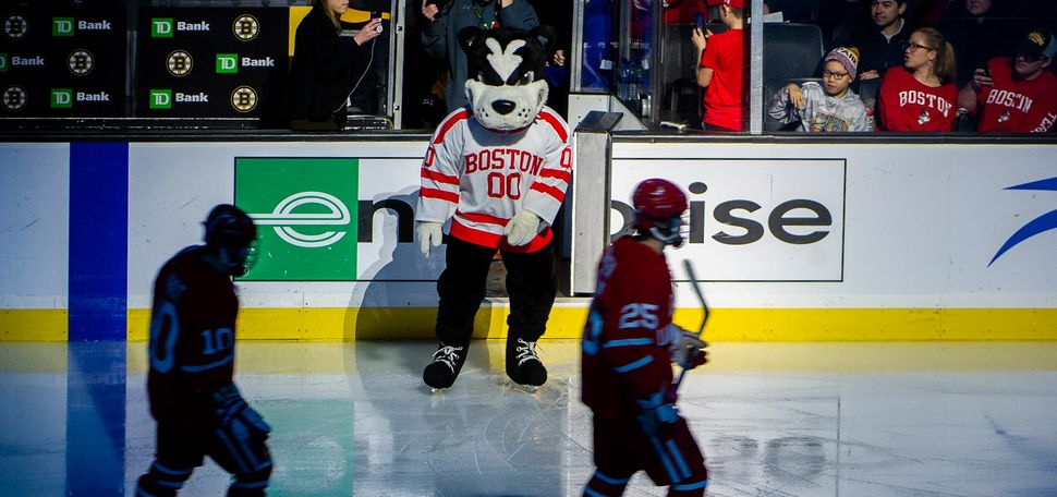 Boston University Terriers men's ice hockey - Wikipedia