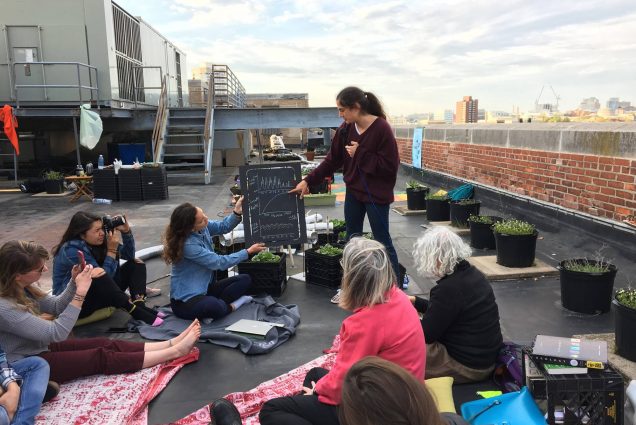 Photo of Dr. Sarabeth Buckley teaching about the urban carbon cycle in a circle of students sitting atop a roof. The students sit on the rooftop, while the Boston skyline is see in the background. Sarabeth wears a purple sweater and gestures towards a small chalkboard with charts.