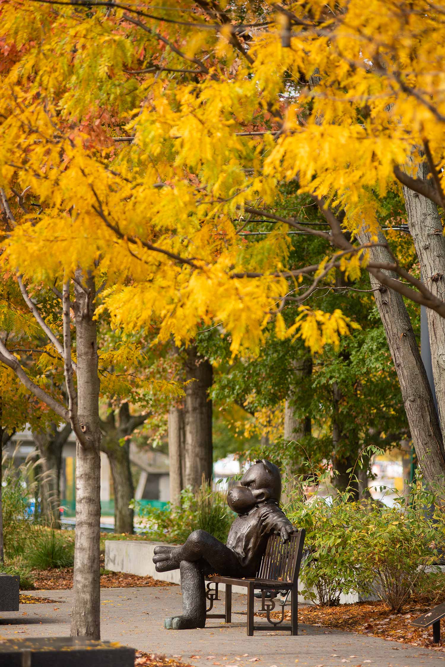 Photo of the Rhett bench surrounded by trees filed with fall-colored leaves.