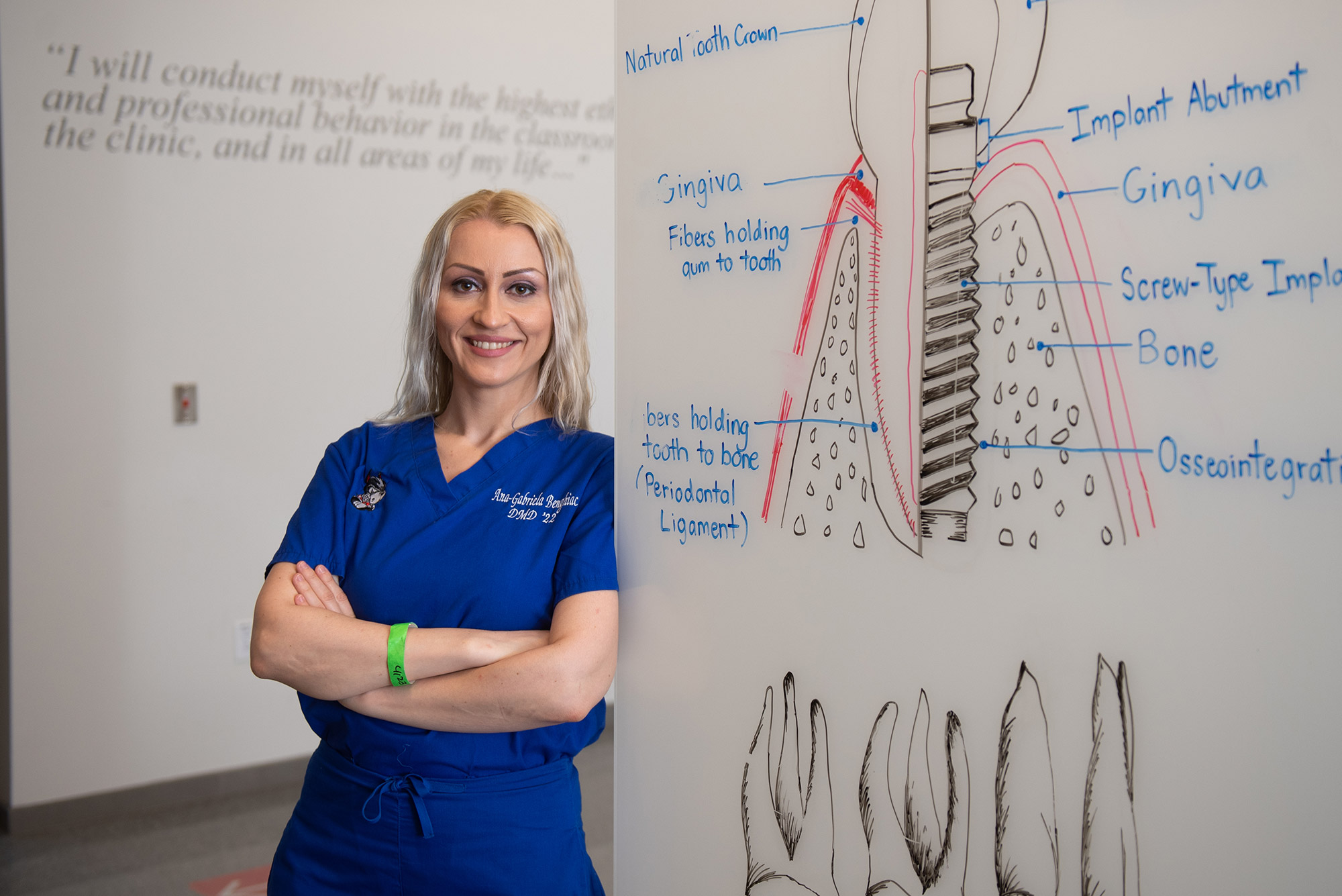 Photo of Ana-Gabriele Benghiac in bright blue scrubs, leaning against a white board white a diagram of a tooth with labels written in expo marker. She was shoulder-length, blonde hair and smiles with her arms crossed.