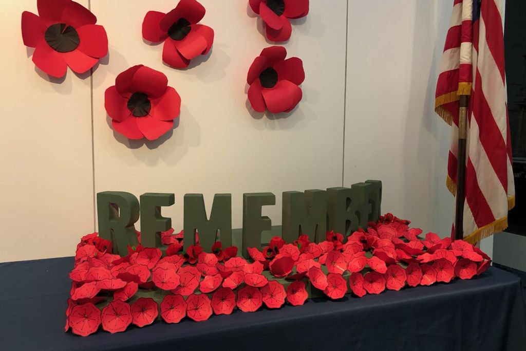 The Poppy Flower : A Memorial Day Remembrance and an Epidemic