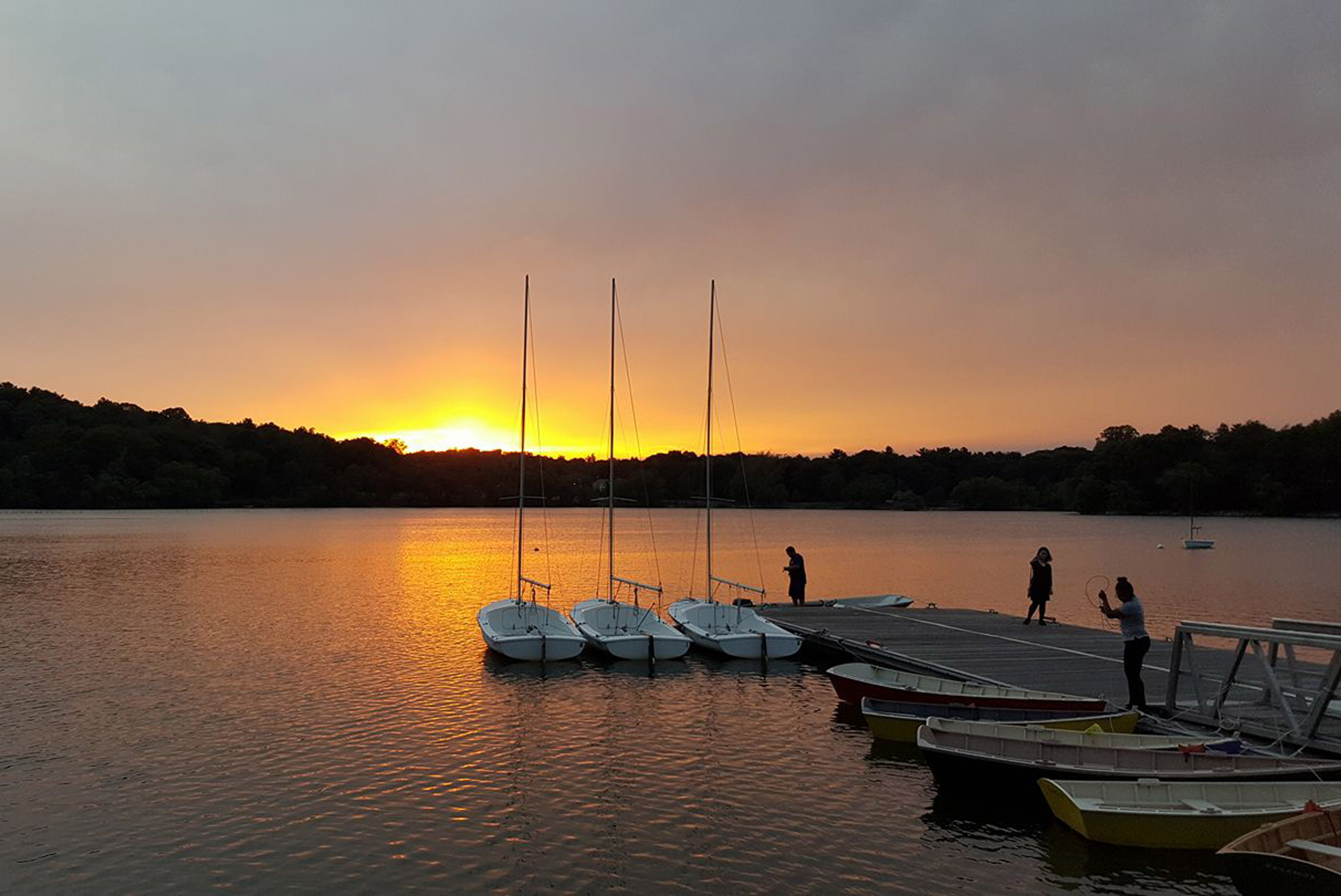 map jamaica pond        <h3 class=