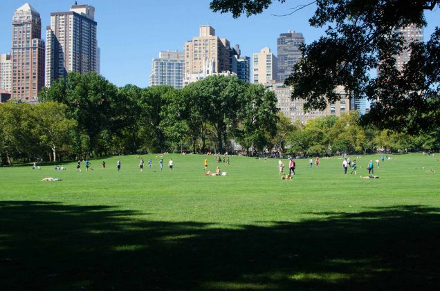 People playing and relaxing in a big, open field of green grass in a city park