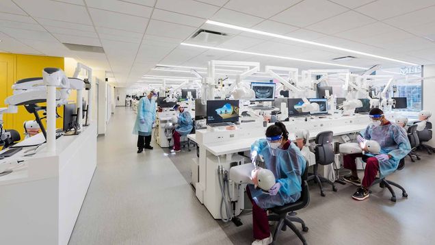 Dental students work on dummies in the Goldman Dental School simulation lab