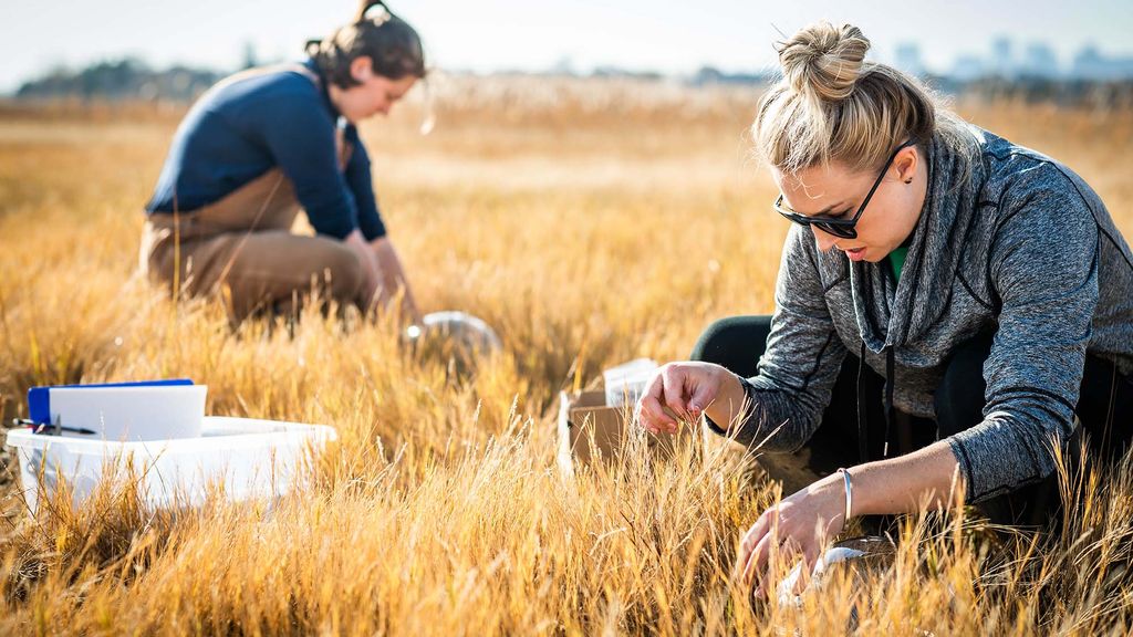 Image of BU Earth and environment researchers Catherine Mahoney, and Amanda Vieillard at Belle Isle Marsh Reservation in Boston, Mass. The women crouch in the yellow grass and set up portable carbon sensors. The Boston City Skyline is seen behind them.