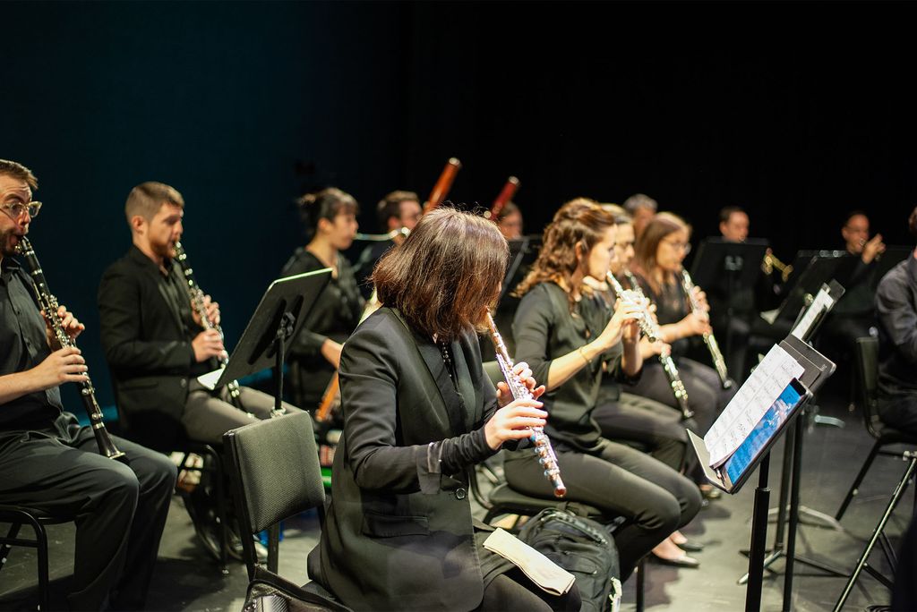 An orchestra wind section sitting and playing flutes and clarinets