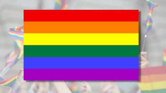 Heres What The Different Lgbtqia Flags Represent Hey Bu Blog