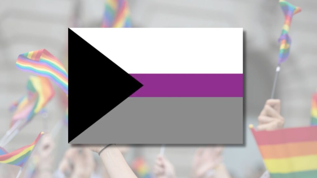 The image features the demisexual flag with a triangular shape pointing to the right. It’s set against a background divided into three horizontal stripes of black, purple, and gray. The flag overlays an out-of-focus photograph of people waving rainbow flags, suggesting a theme related to LGBTQ+ pride.