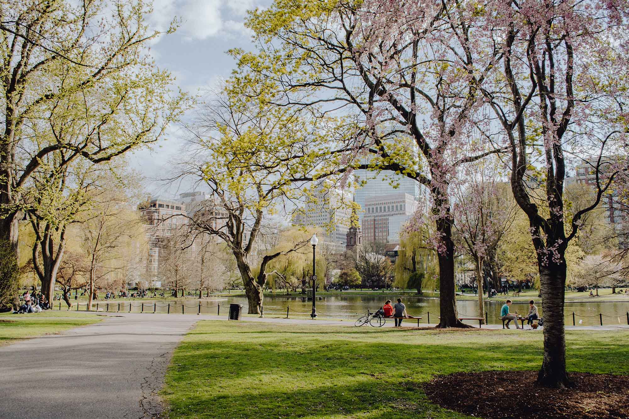 Photo: Boston Common in the springtime