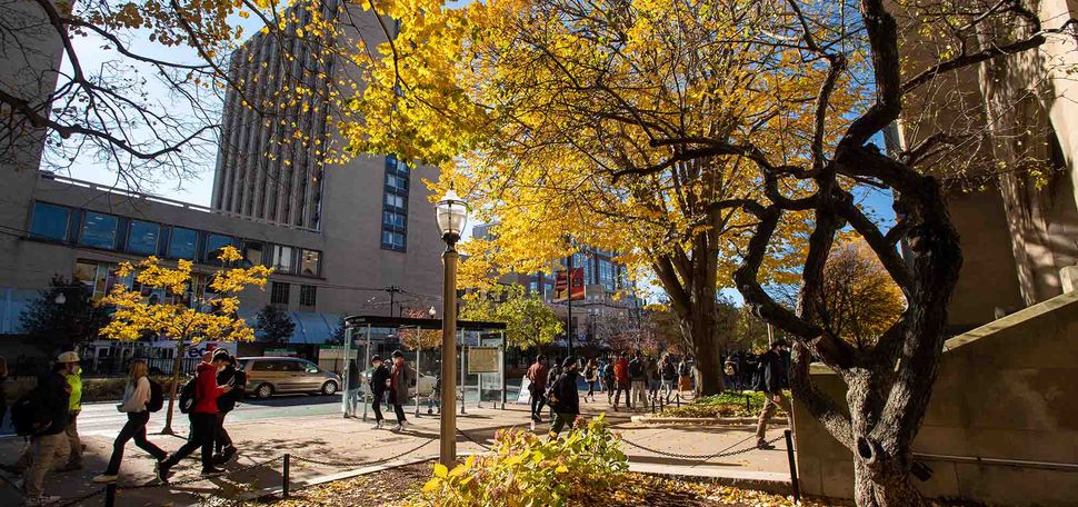 Photo: Fall stock photo of BU campus. Trees with orange and yellow leaves line the sidewalks of Comm Ave as pedestrians walk by the campus.