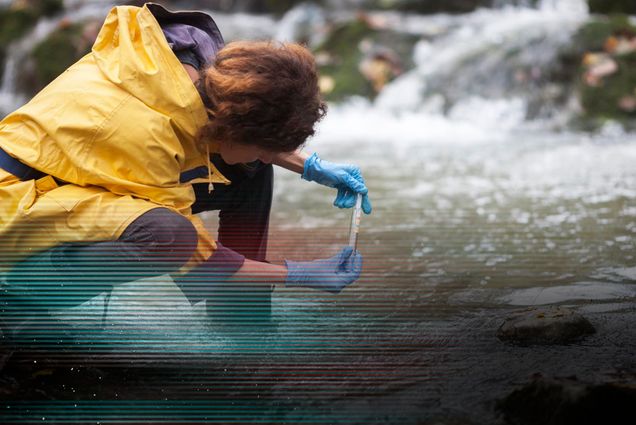 Photo: An Ecologist in a yellow raincoat Taking a Water Sample in the Forest