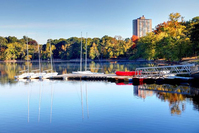 Photo: A view of boats docked at Jamaica Pond, with trees lining the sides and a building in the distance