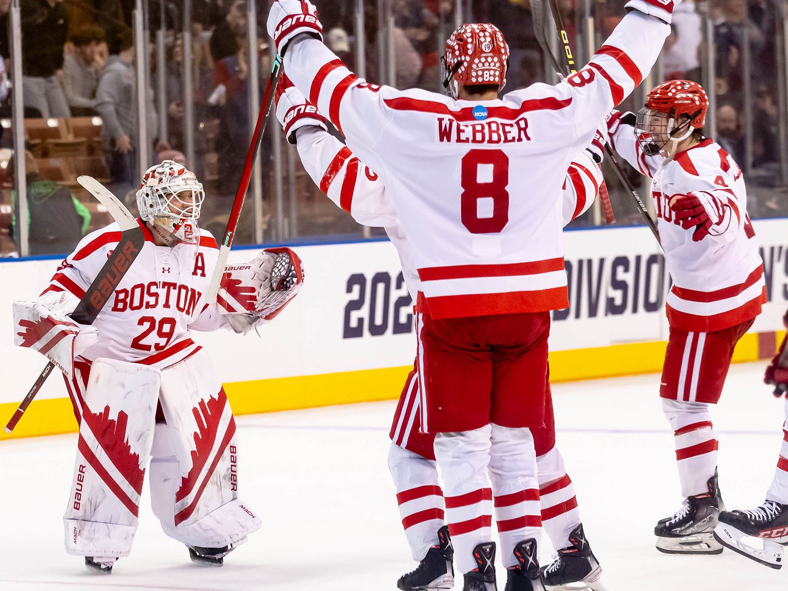 Terrier Men's Hockey Opens Home Slate with Friday and Saturday