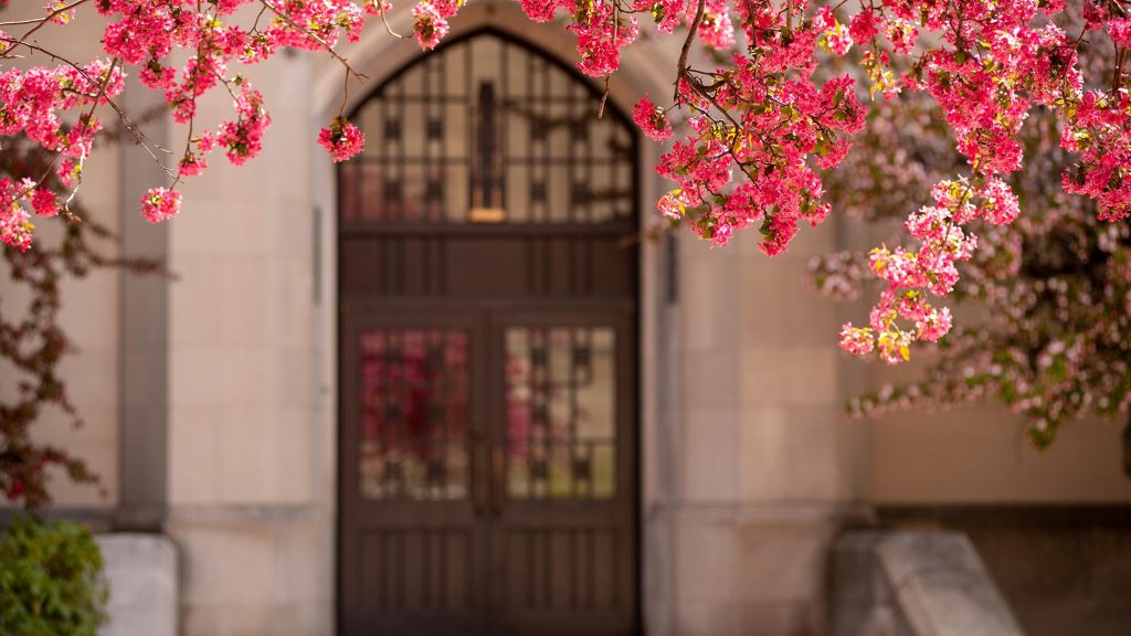 Photo: a view of the west-facing entrance to BU's CAS. A large, ornate wooden metal door is shown in the background. In the foreground pink spring blossoms on a tree highlight the entrance.