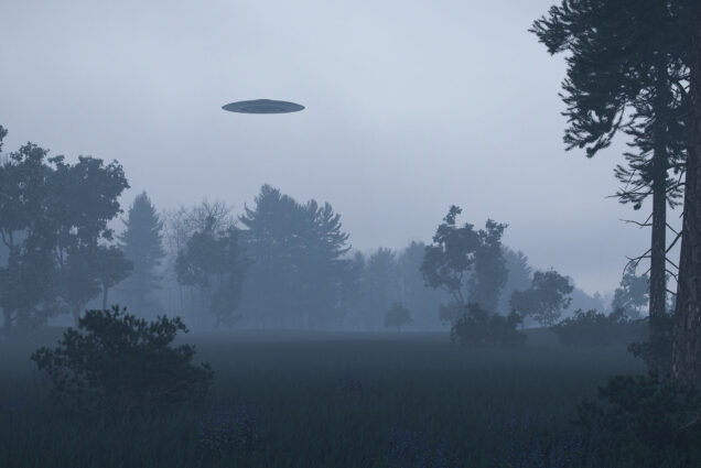 Photo: A ufo is shown flying over some trees on a cloudy, foggy day. It is shown as a small shadow hovering over the nature scene.