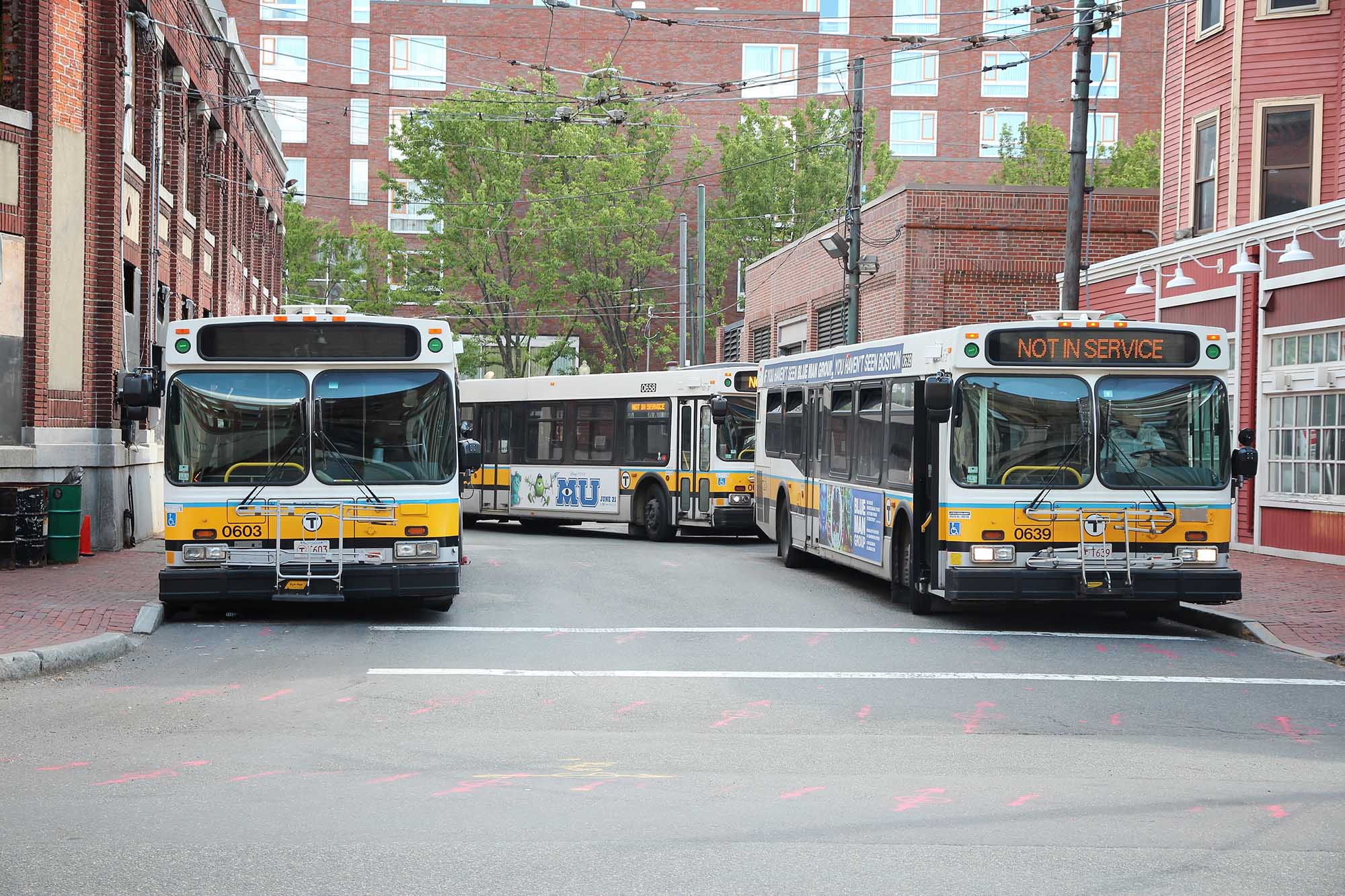 Photo: Boston city buses parked in long lines on either side of a street.