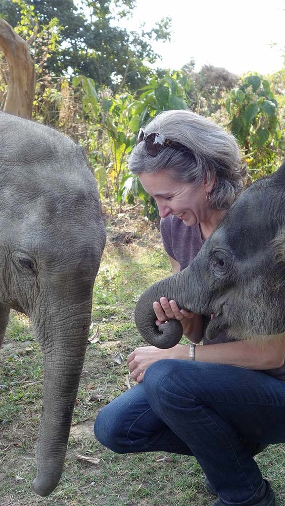 Photo: An older white woman playing with baby elephants on a sunny day