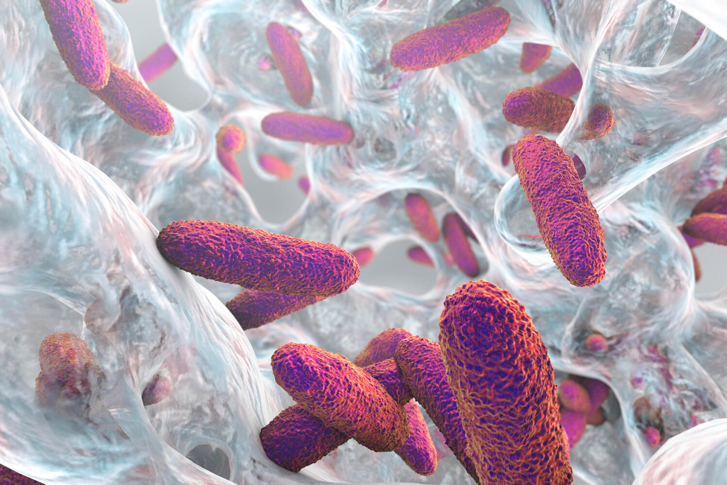 Photo: An illustration of Klebsiella pneumoniae bacteria, long cylinder-like bacteria cluttered all around.