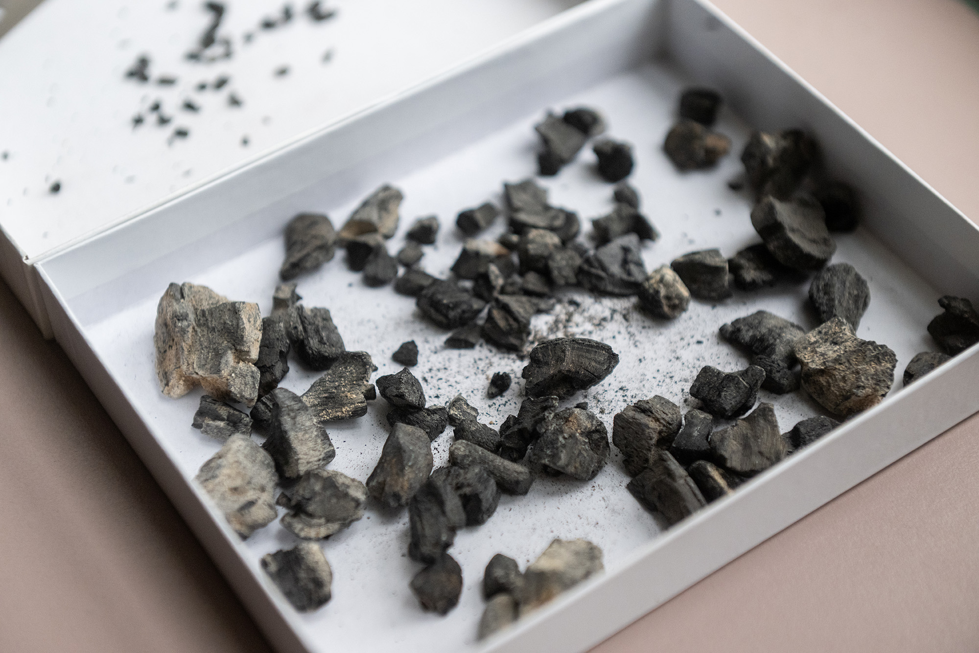 Photo: A picture of a box of charcoal