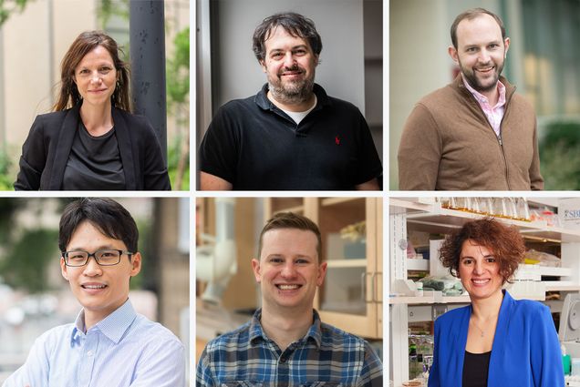 Composite image of 6 different academics in formal dress, posing for portrait headshots.