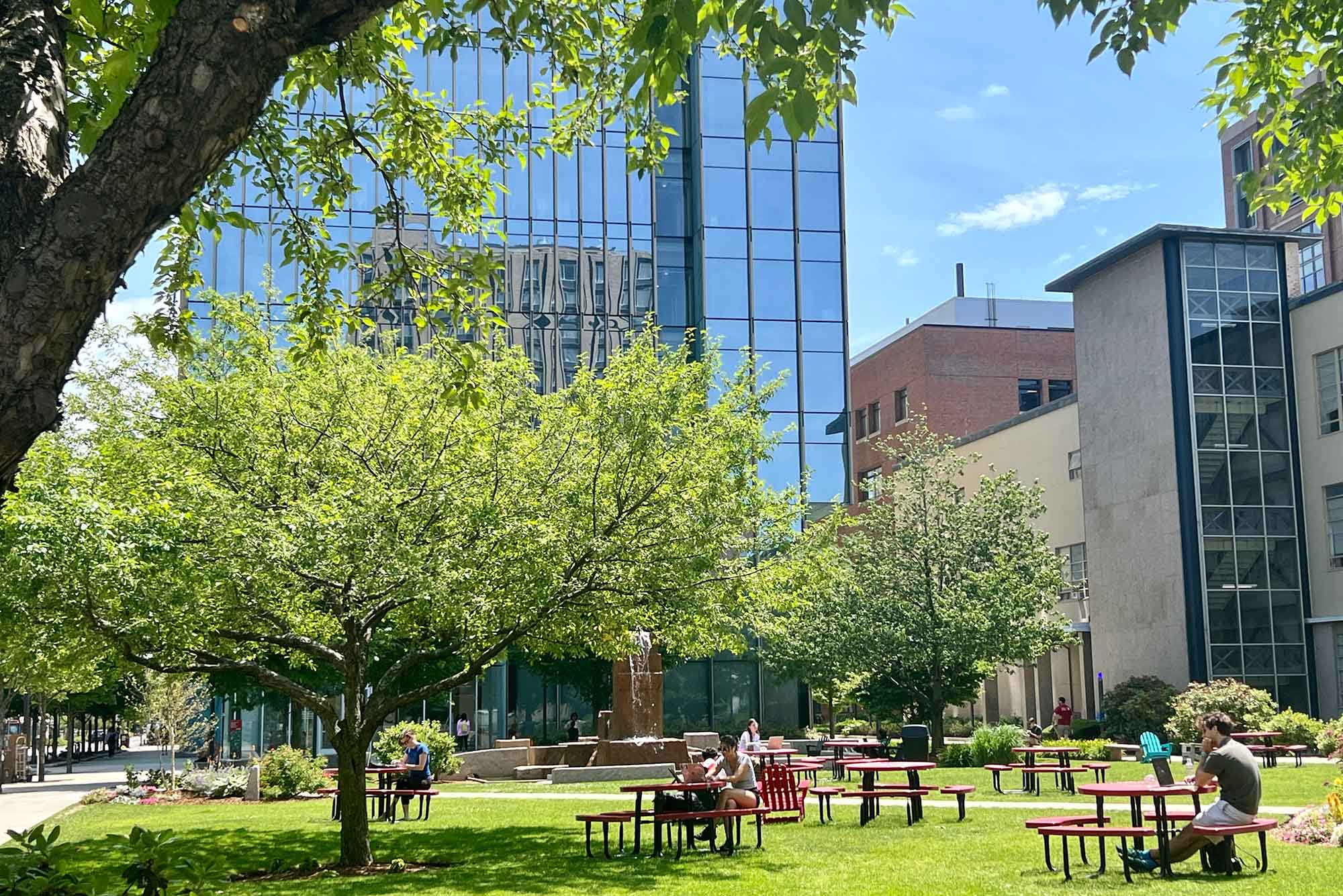 Photo: A picture of a lawn on a college campus with trees and tables where students are working