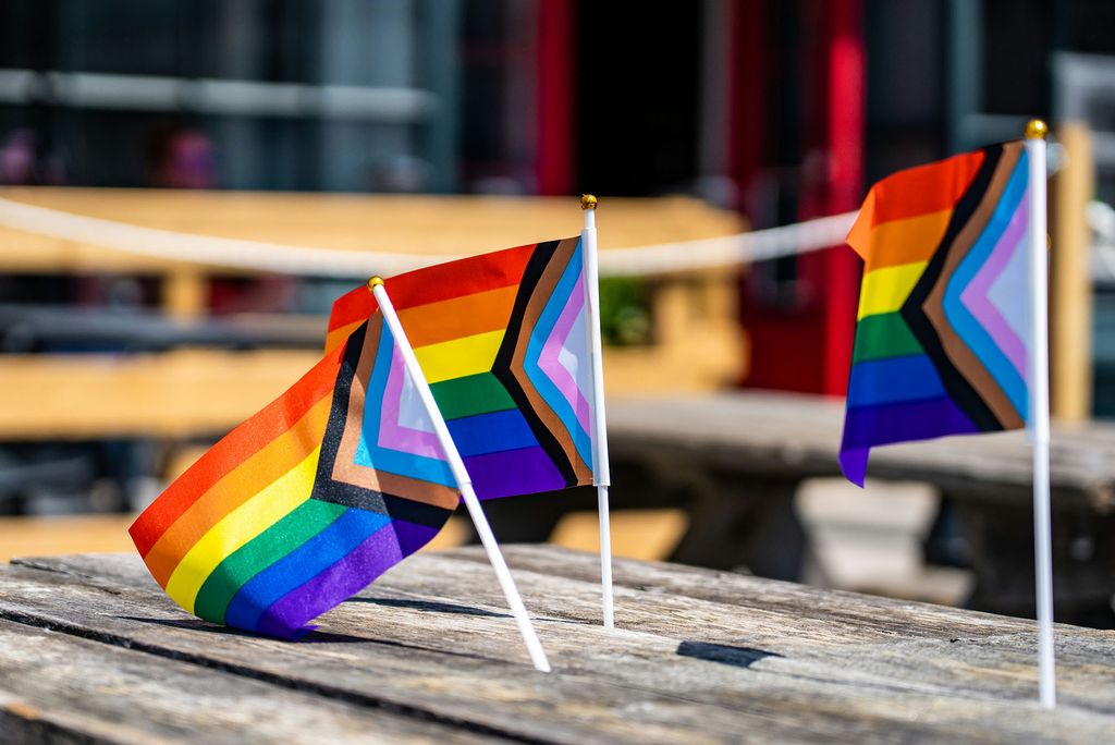 Photo: A picture of three pride flags stood up on a picnic table