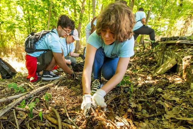 Photo: A picture of students doing service and pulling up weeds from the woods. They are wearing matching blue shirts and protective gloves