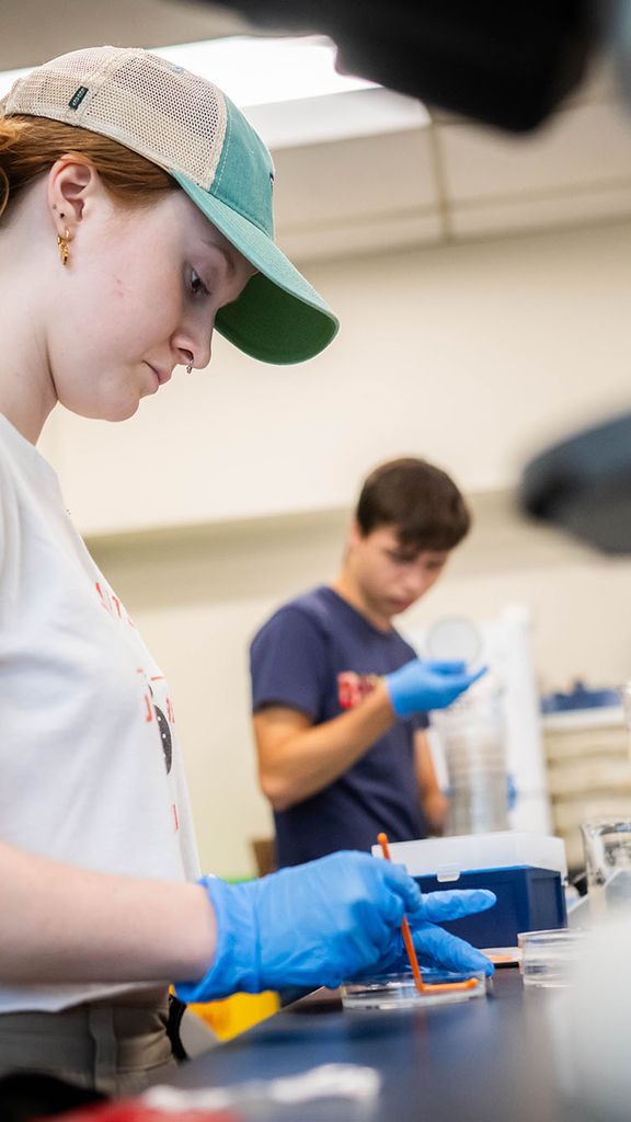 Photo: In the foreground, a female student with a baseball cap and gloves on working in a lab. In the background, a male student inspecting lab equipment