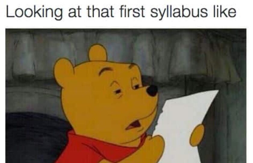 A picture of a Pooh bear reading a piece of paper with a caption that reads "looking at that first syllabus like."