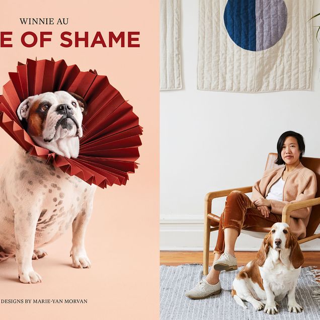 Photo: On the left, a picture of a dog wearing a red cone. On the right, a picture of a woman sitting on a chair and posing with a dog